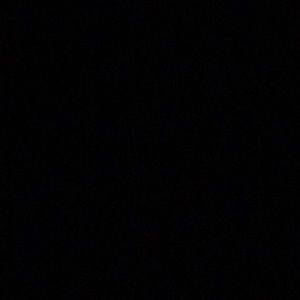 Meet your Posher, Lola